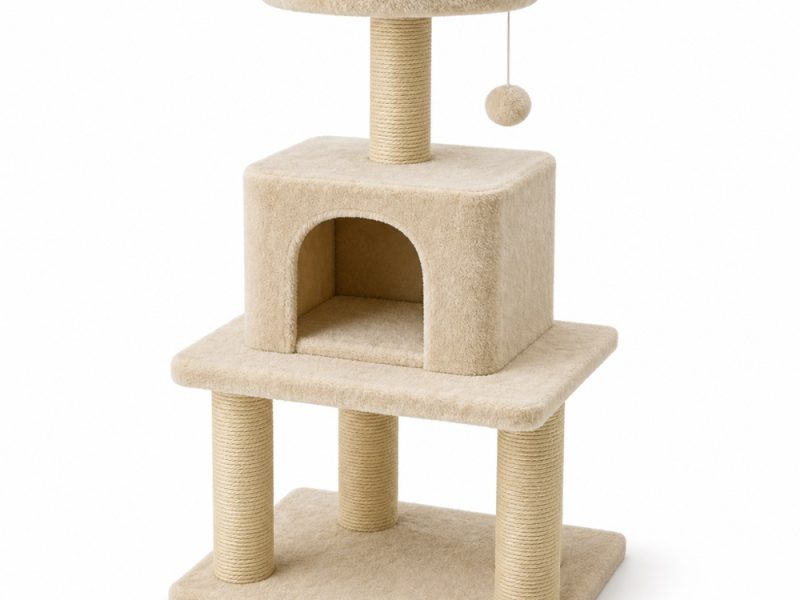 Cat Toys & Furniture