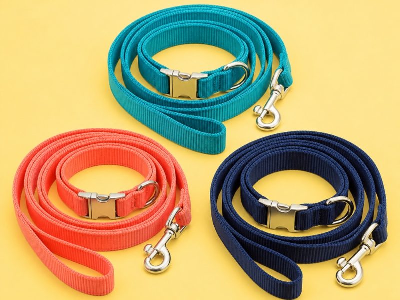 Collars, Leashes & Harnesses