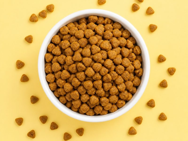 Dog Food